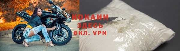 дмт Каменка