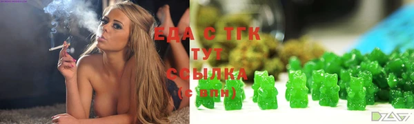 дмт Каменка