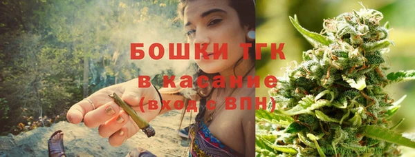 дмт Каменка