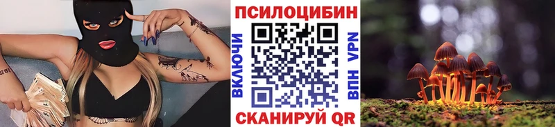 Псилоцибиновые грибы Psilocybine cubensis  Купить где  Городец 